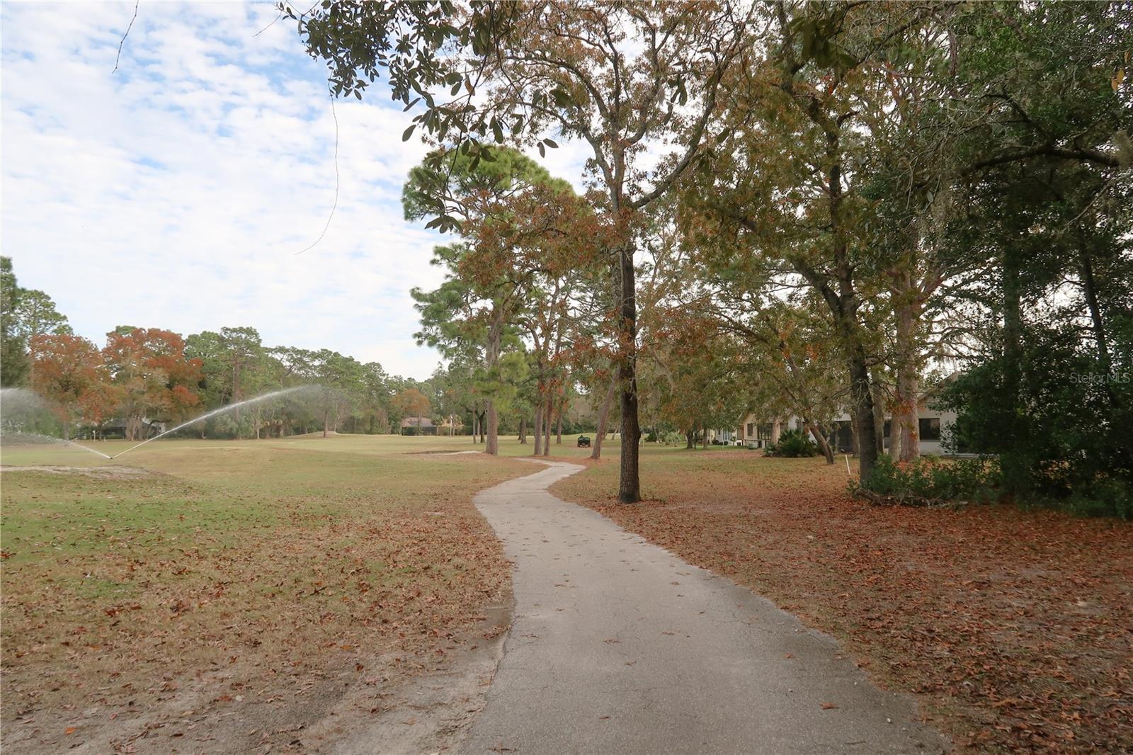 44 GOLFVIEW CT, HOMOSASSA, FL, 34446