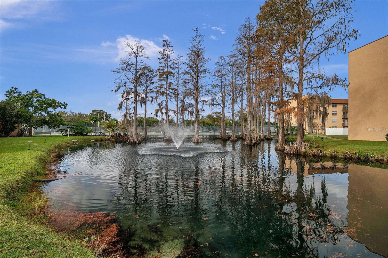 5820 N CHURCH AVE #321, TAMPA, FL, 33614