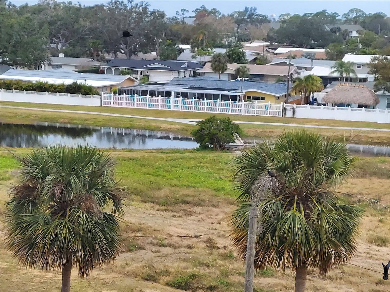 9510 HARBOR GREENS WAY #402, SEMINOLE, FL, 33776