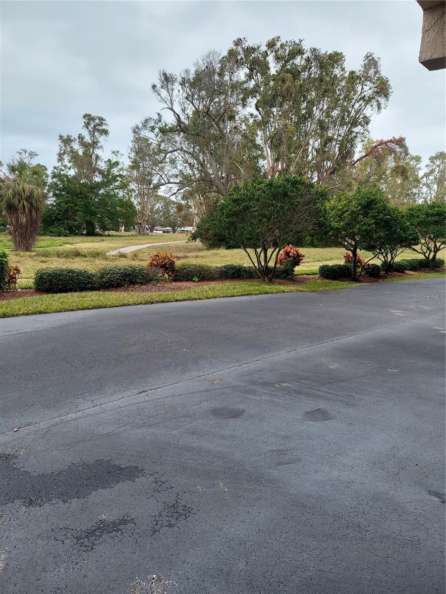 9510 HARBOR GREENS WAY #402, SEMINOLE, FL, 33776
