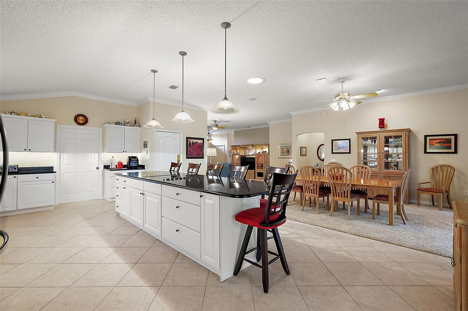 3201 DARIEN WAY, THE VILLAGES, FL, 32162