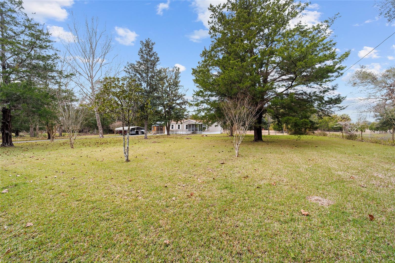 17691 NE 40TH ST, WILLISTON, FL, 32696