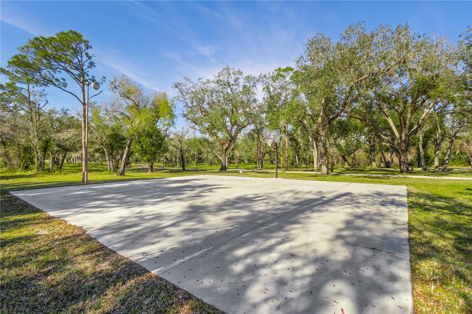 10038 SW COUNTY ROAD 769, ARCADIA, FL, 34269