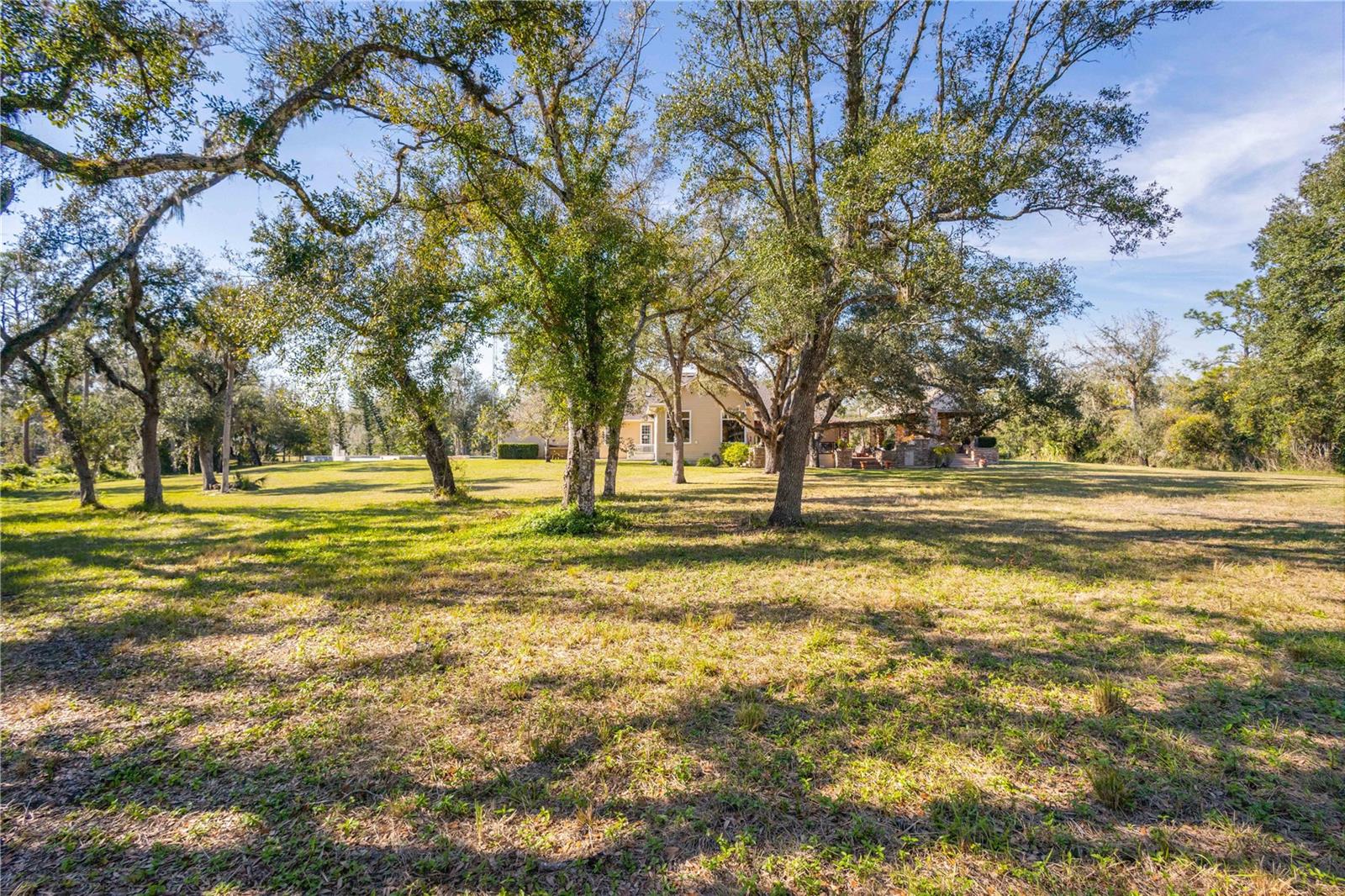 10038 SW COUNTY ROAD 769, ARCADIA, FL, 34269
