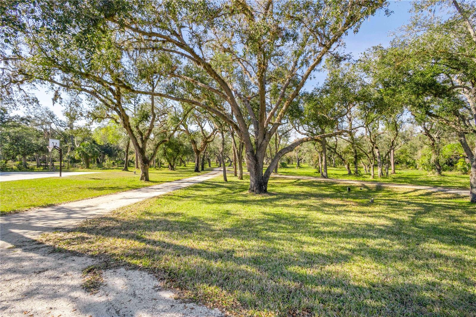 10038 SW COUNTY ROAD 769, ARCADIA, FL, 34269