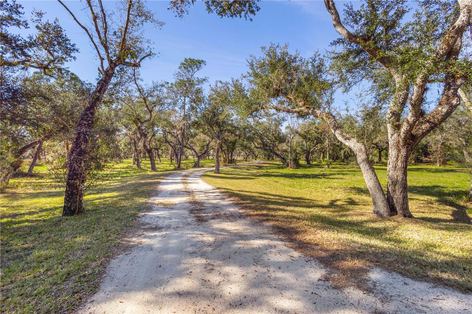 10038 SW COUNTY ROAD 769, ARCADIA, FL, 34269