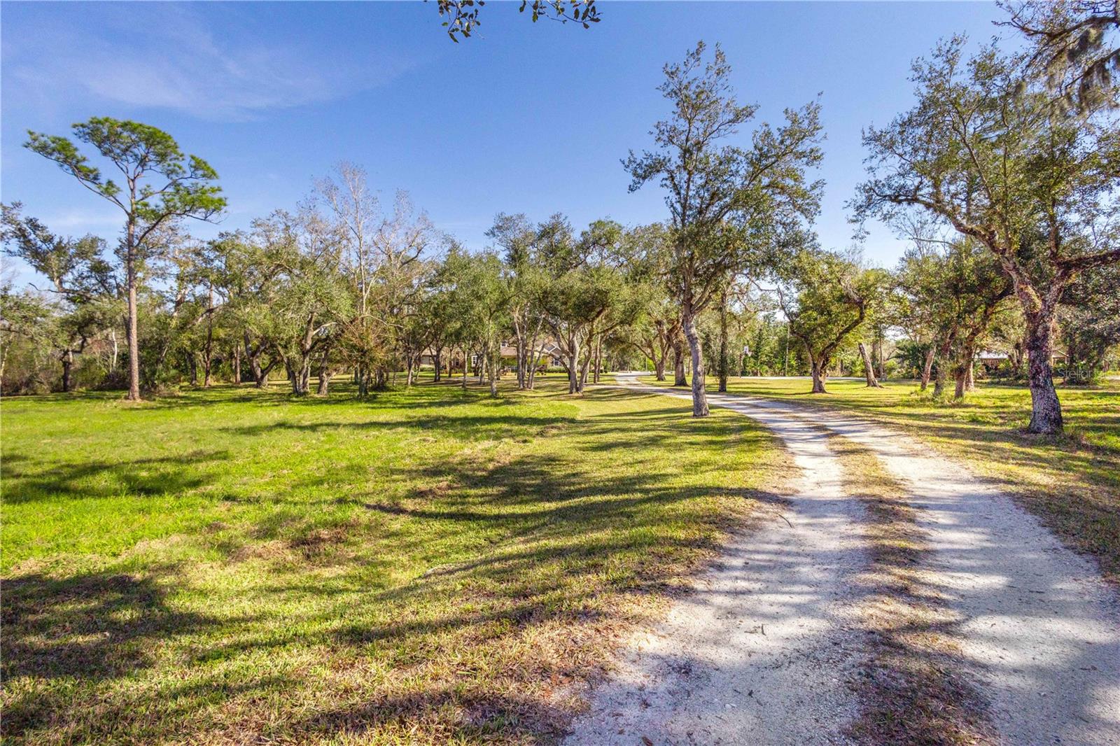 10038 SW COUNTY ROAD 769, ARCADIA, FL, 34269