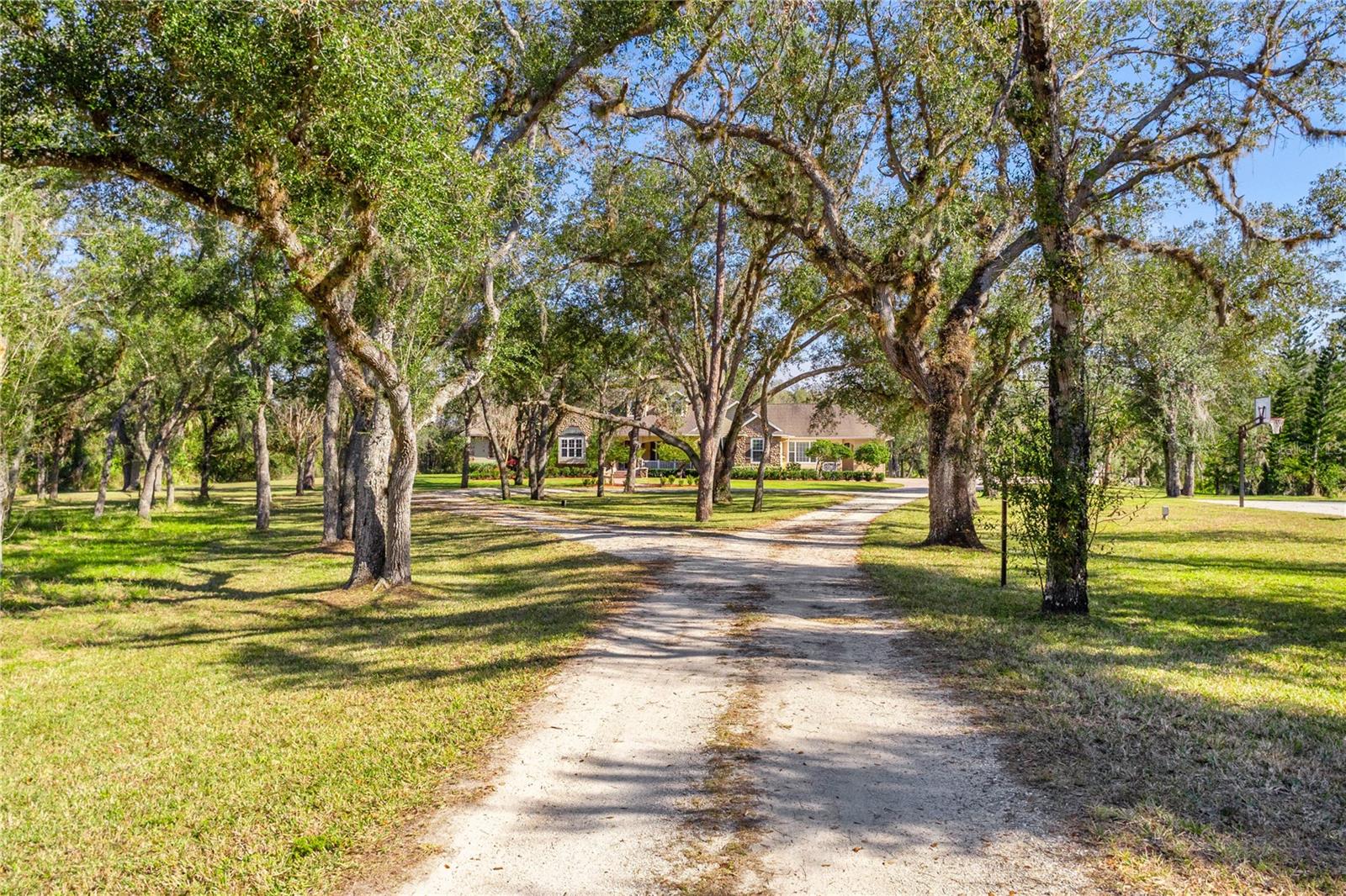 10038 SW COUNTY ROAD 769, ARCADIA, FL, 34269