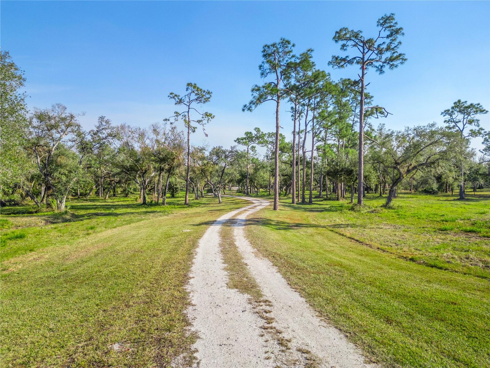 10038 SW COUNTY ROAD 769, ARCADIA, FL, 34269