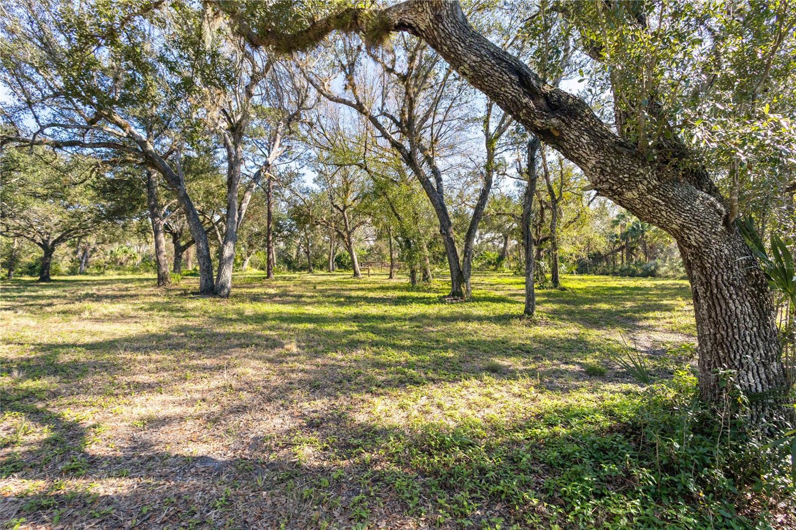 10038 SW COUNTY ROAD 769, ARCADIA, FL, 34269