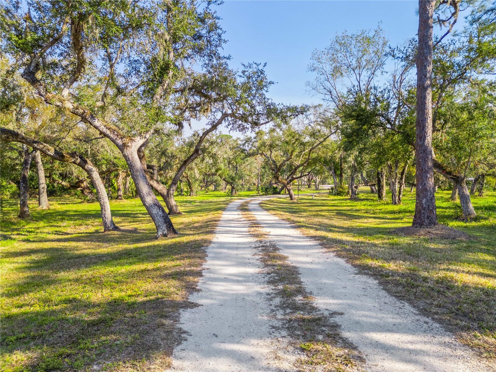 10038 SW COUNTY ROAD 769, ARCADIA, FL, 34269