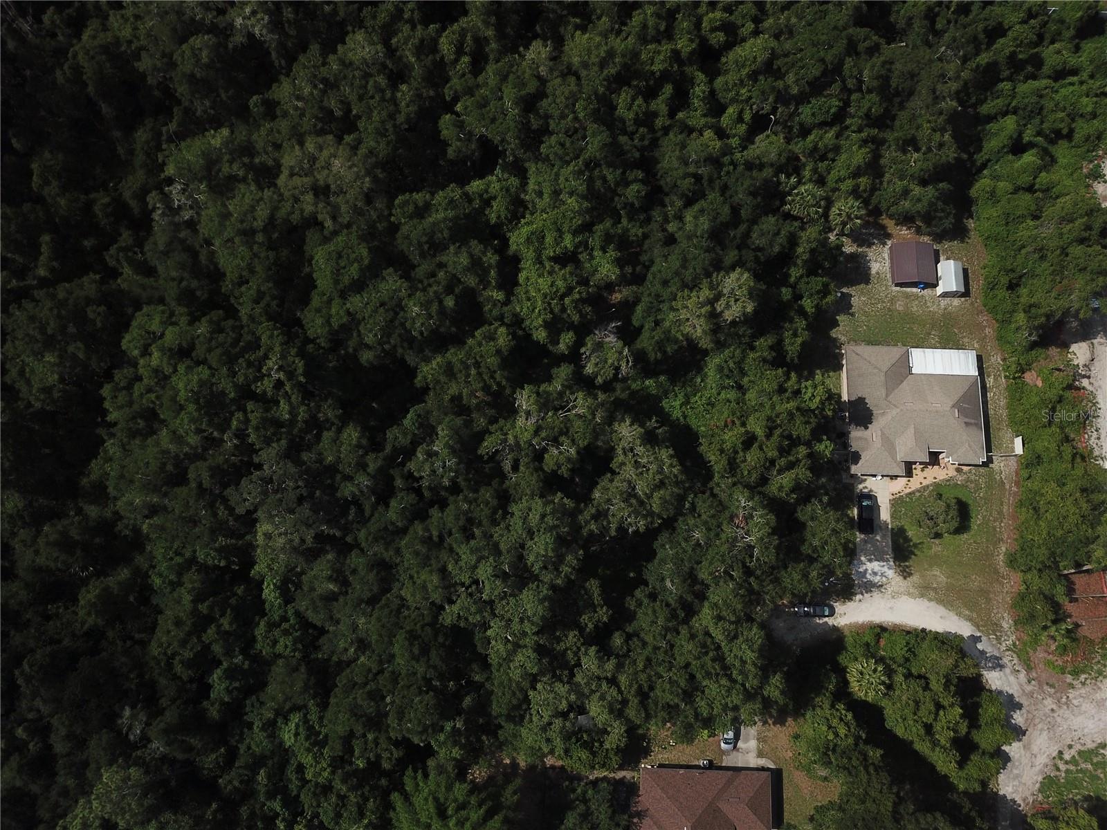 STRICKLAND AVE, ORANGE CITY, FL, 32763