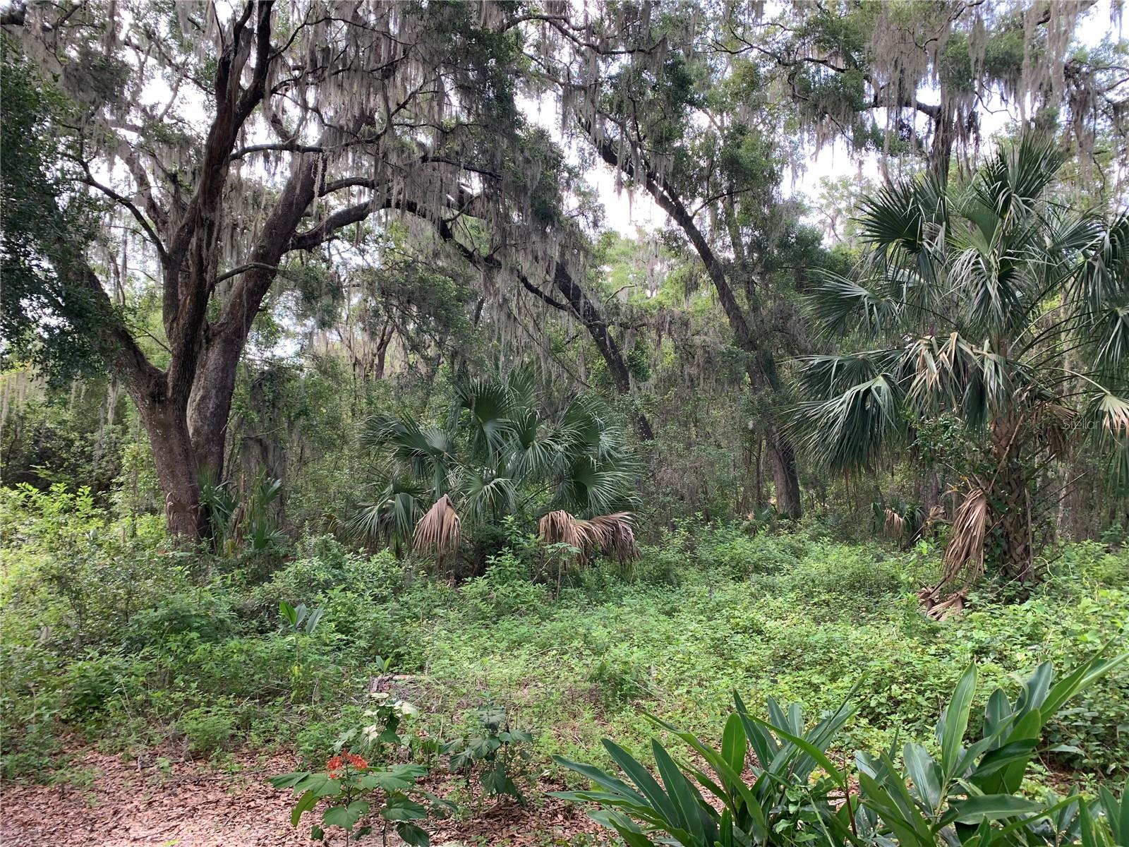 STRICKLAND AVE, ORANGE CITY, FL, 32763