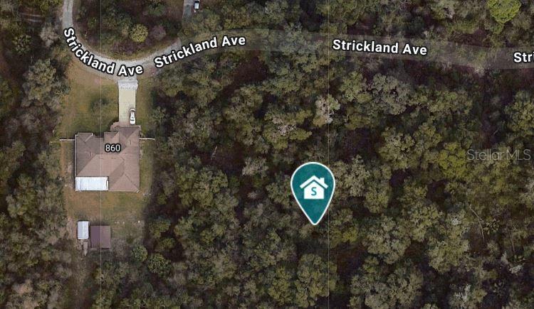 STRICKLAND AVE, ORANGE CITY, FL, 32763