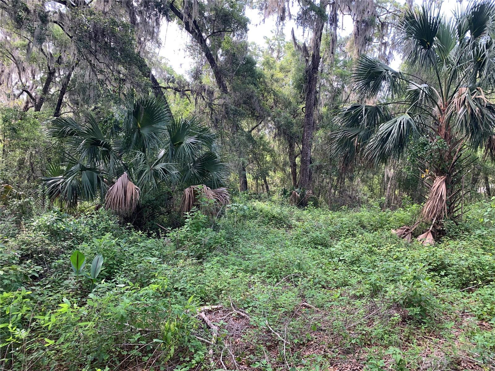 STRICKLAND AVE, ORANGE CITY, FL, 32763