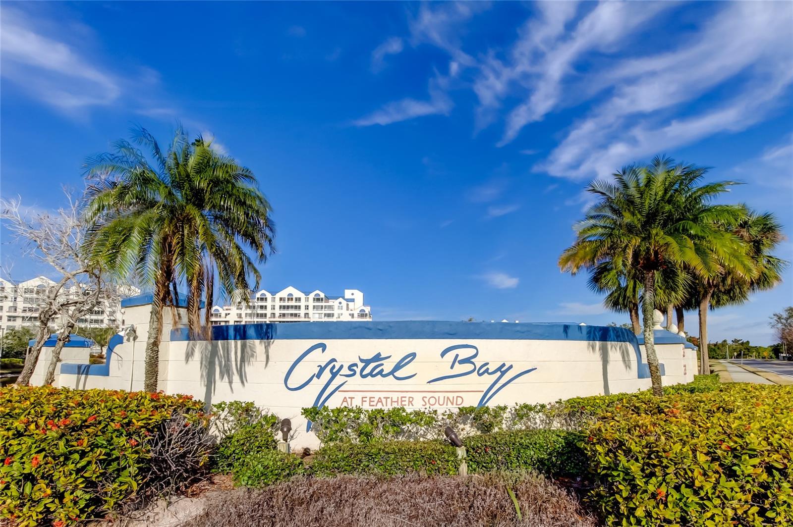2323 FEATHER SOUND DR #106, CLEARWATER, FL, 33762