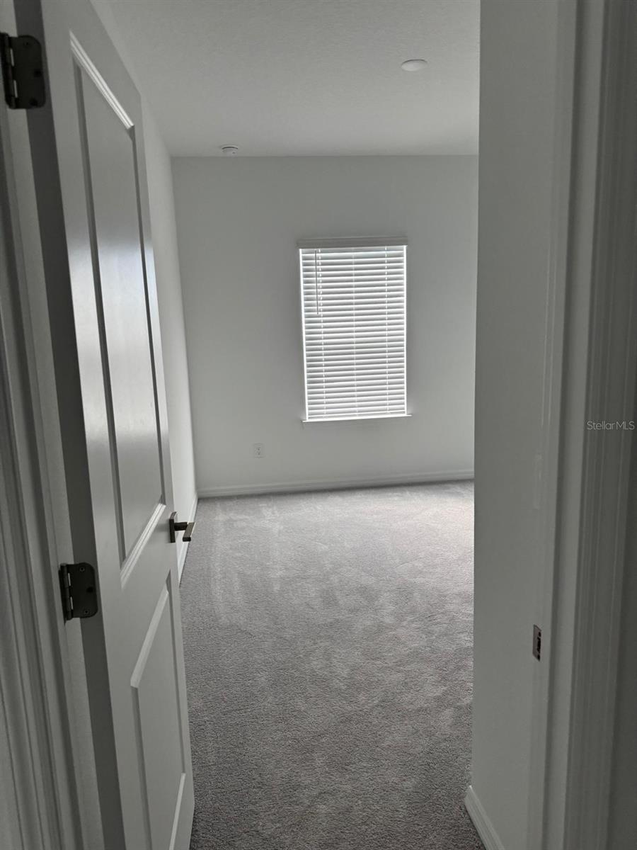 15248 BLUE PEACOCK LN, WINTER GARDEN, FL, 34787