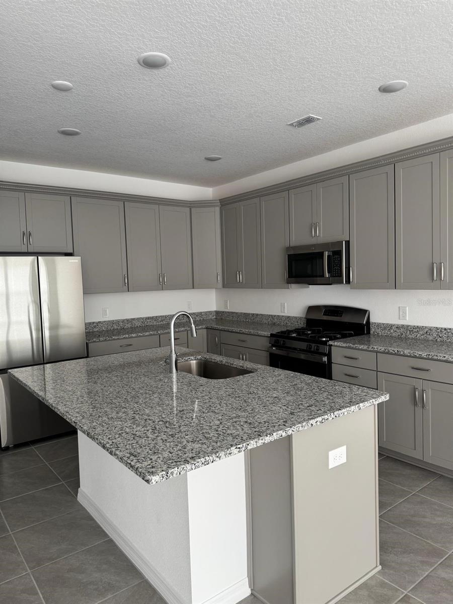 15248 BLUE PEACOCK LN, WINTER GARDEN, FL, 34787