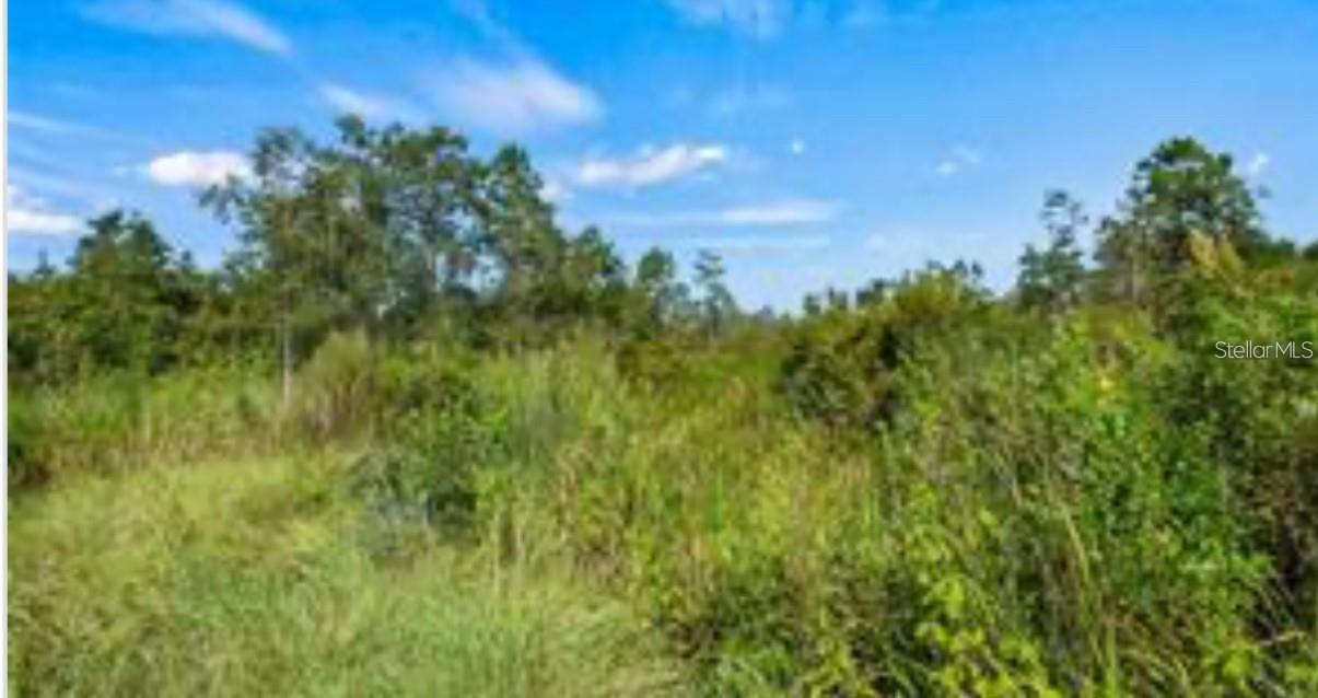 OIL WELL RD, CLERMONT, FL, 34714
