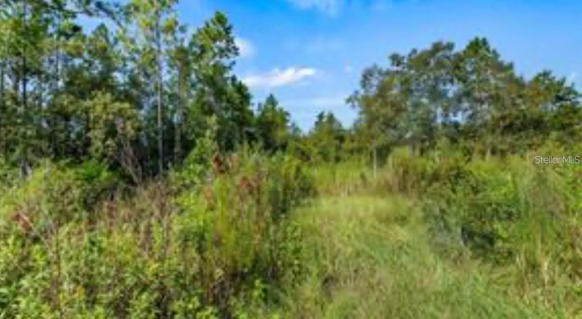 OIL WELL RD, CLERMONT, FL, 34714