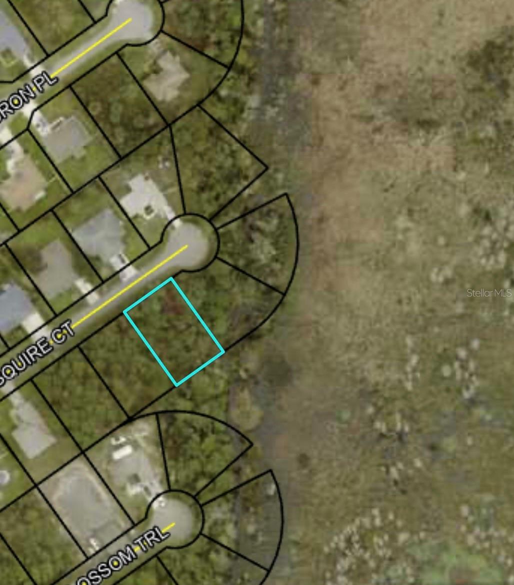 12 SQUIRE CT, PALM COAST, FL, 32164