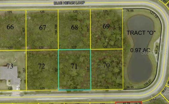 11 BLUE HERON LOOP, BUNNELL, FL, 32110