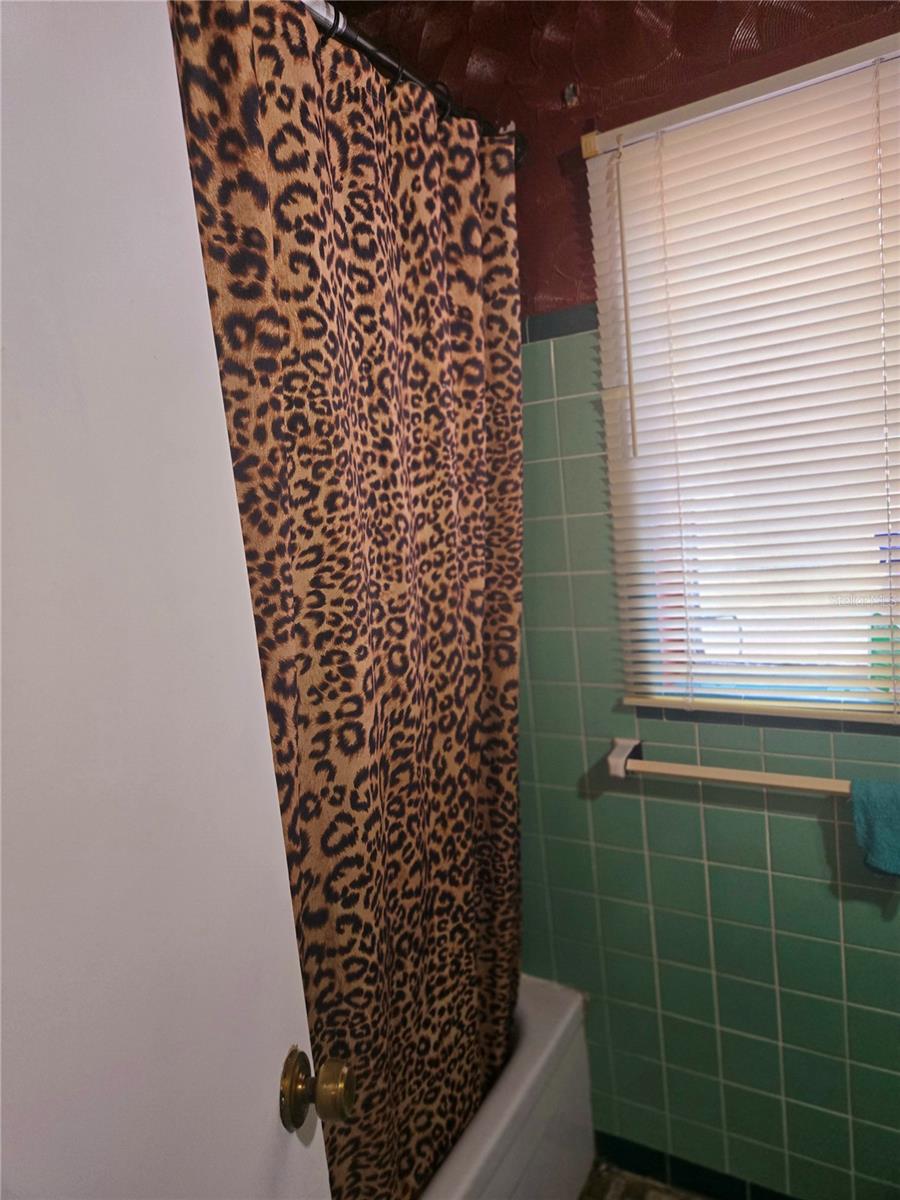 4420 LAKE LAWNE AVE, ORLANDO, FL, 32808