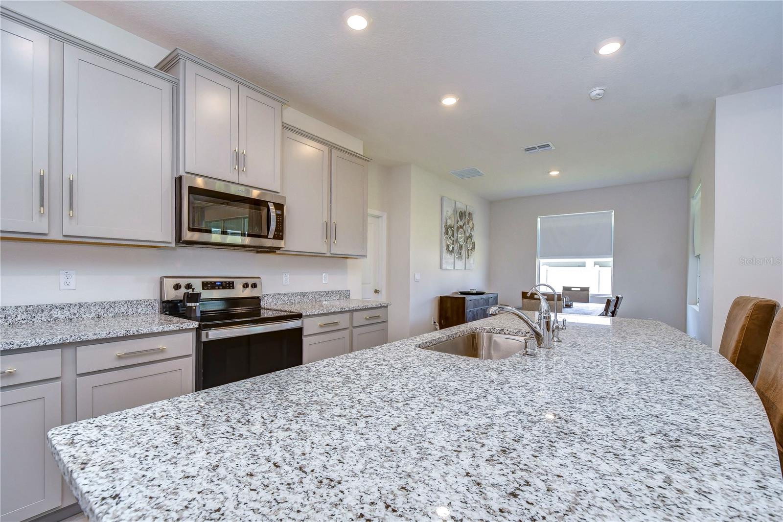 12463 SHINING WILLOW ST, RIVERVIEW, FL, 33579