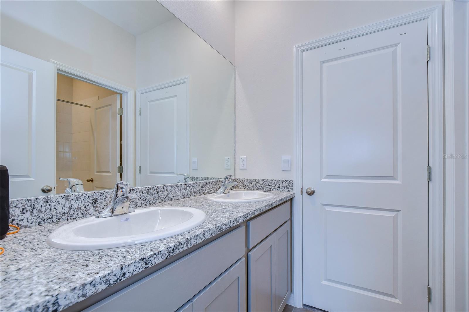 12463 SHINING WILLOW ST, RIVERVIEW, FL, 33579