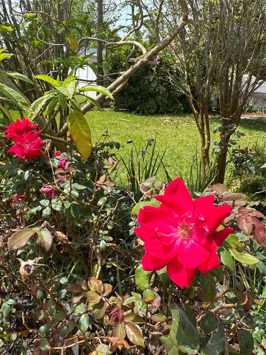 6226 HAMPTON CT N, ST PETERSBURG, FL, 33710