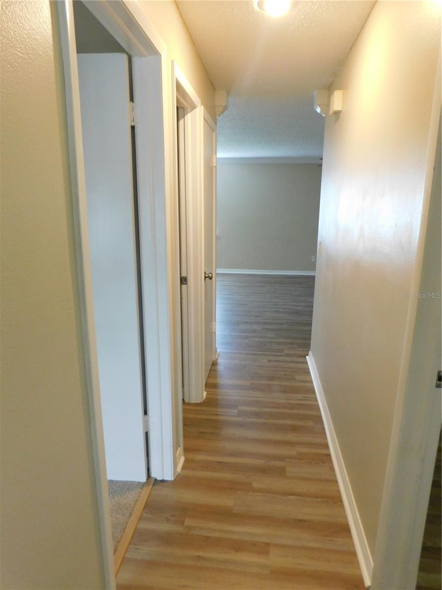 1628 BAKER RD, LUTZ, FL, 33559