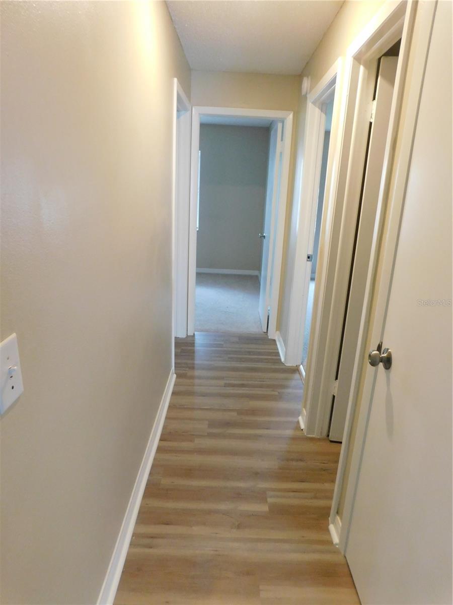 1628 BAKER RD, LUTZ, FL, 33559