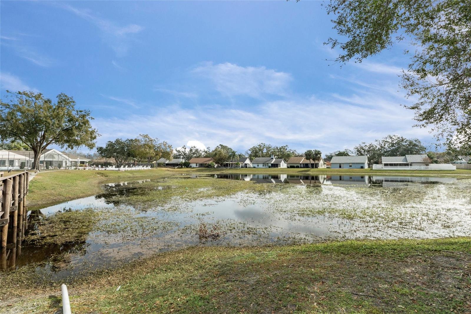 1628 BAKER RD, LUTZ, FL, 33559