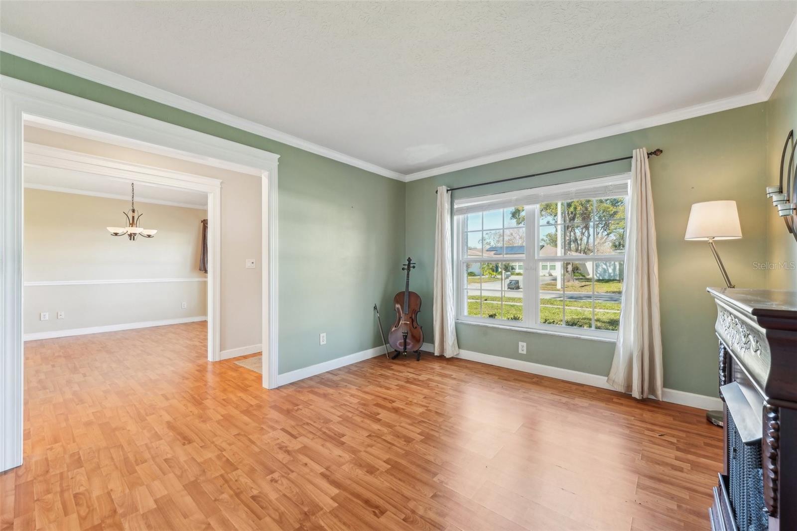 13214 MORAN DR, TAMPA, FL, 33618