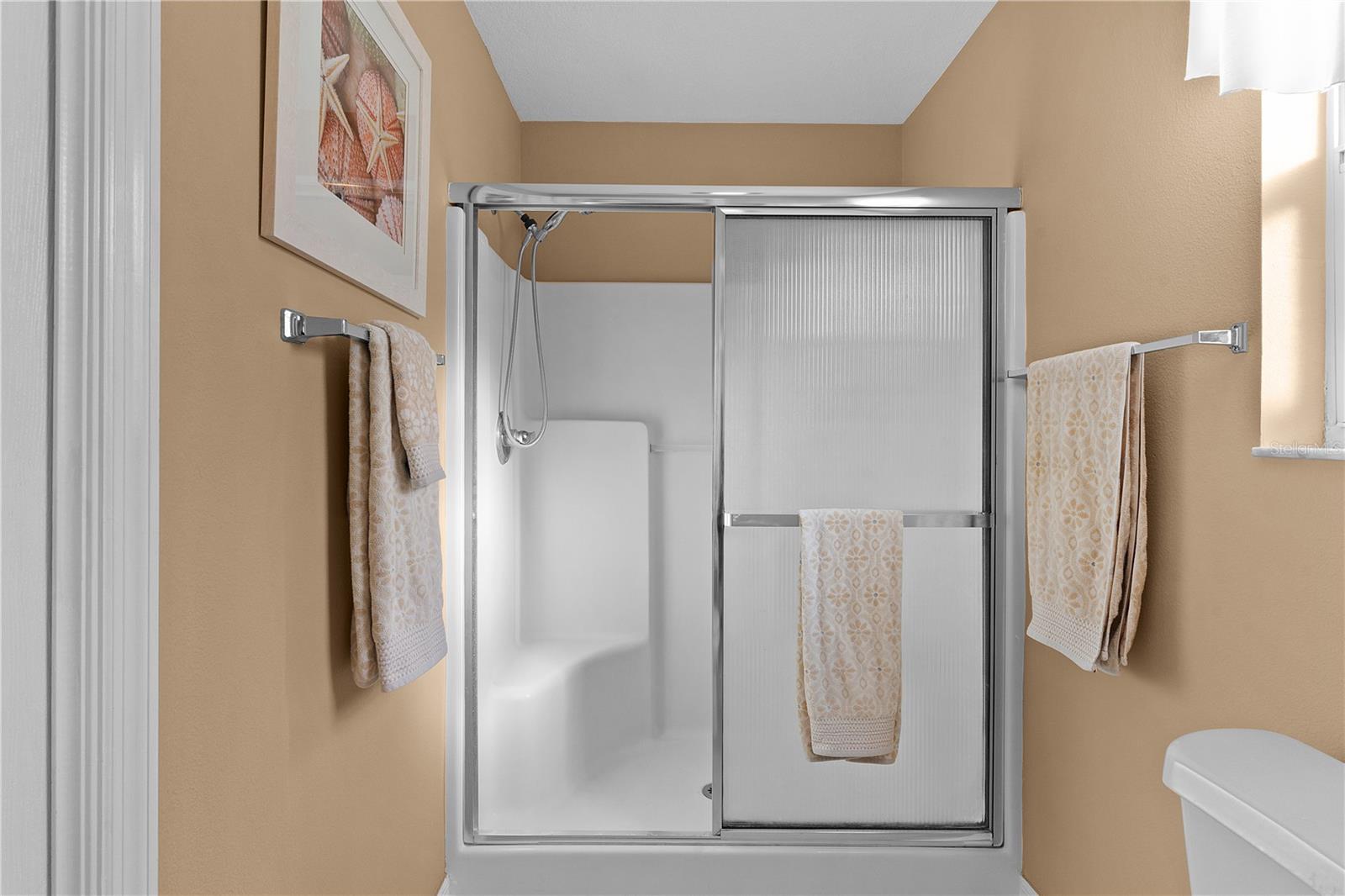 3236 WILLIAMS RD, THE VILLAGES, FL, 32162