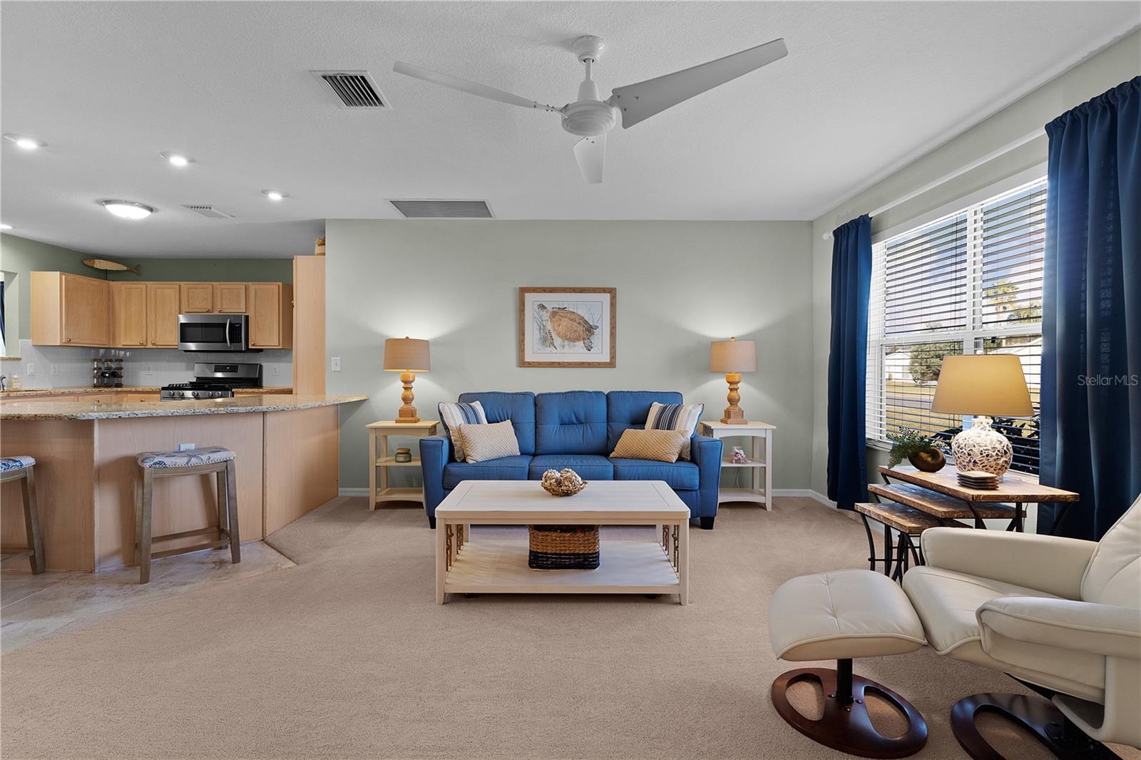 3236 WILLIAMS RD, THE VILLAGES, FL, 32162