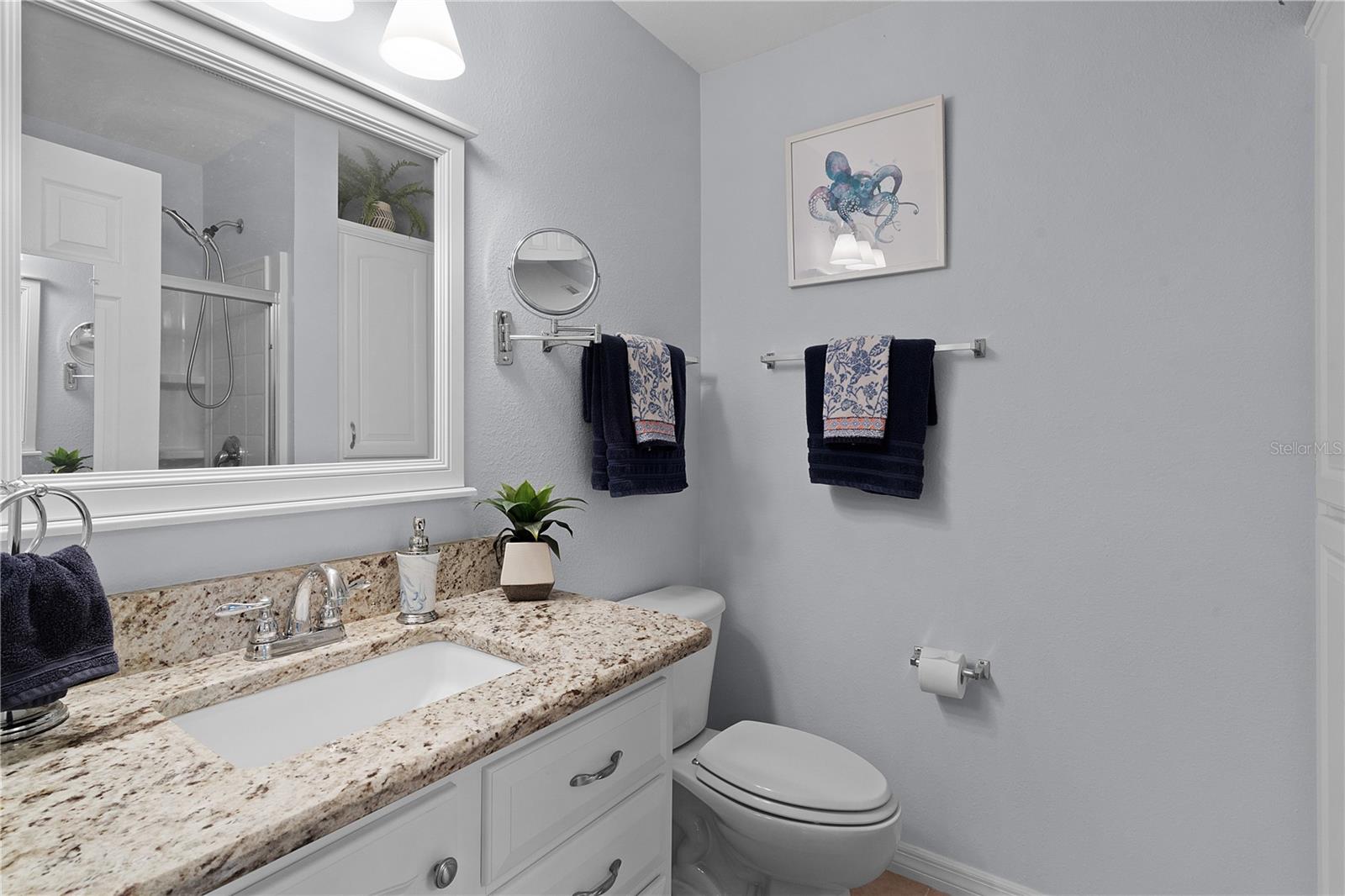 3236 WILLIAMS RD, THE VILLAGES, FL, 32162