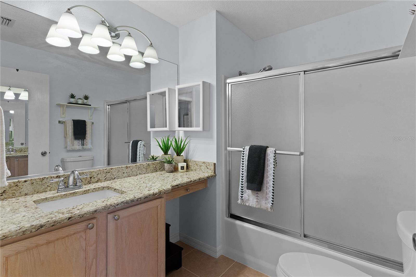 3236 WILLIAMS RD, THE VILLAGES, FL, 32162