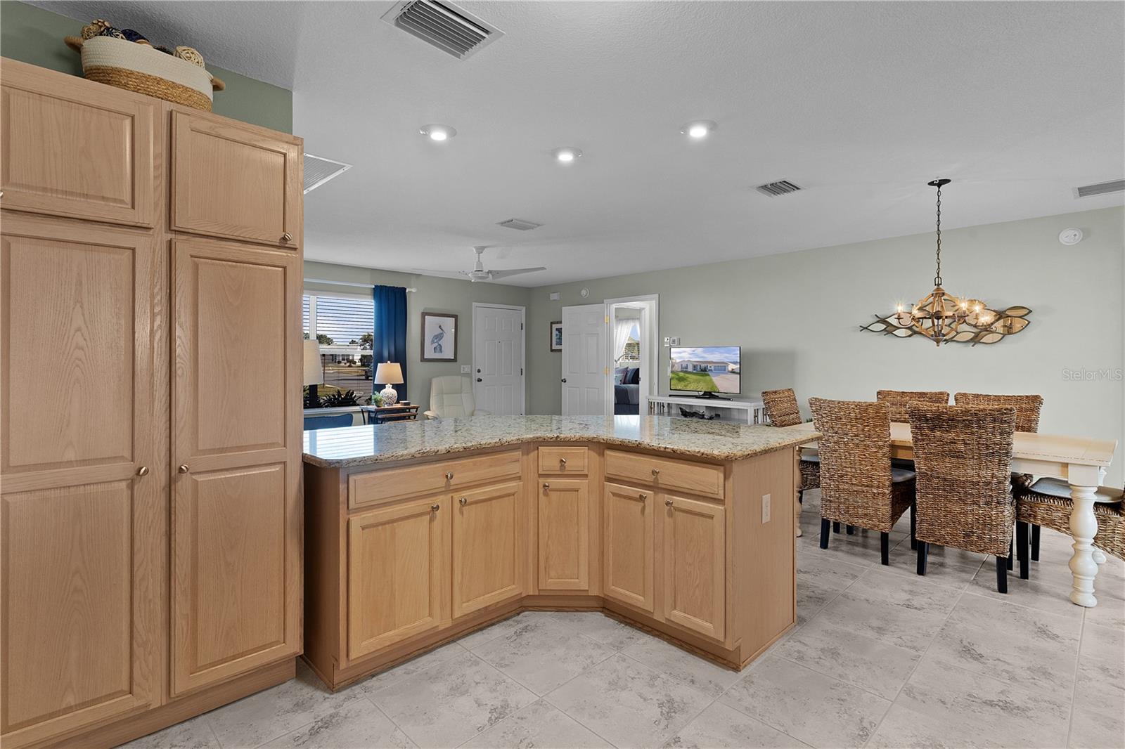 3236 WILLIAMS RD, THE VILLAGES, FL, 32162