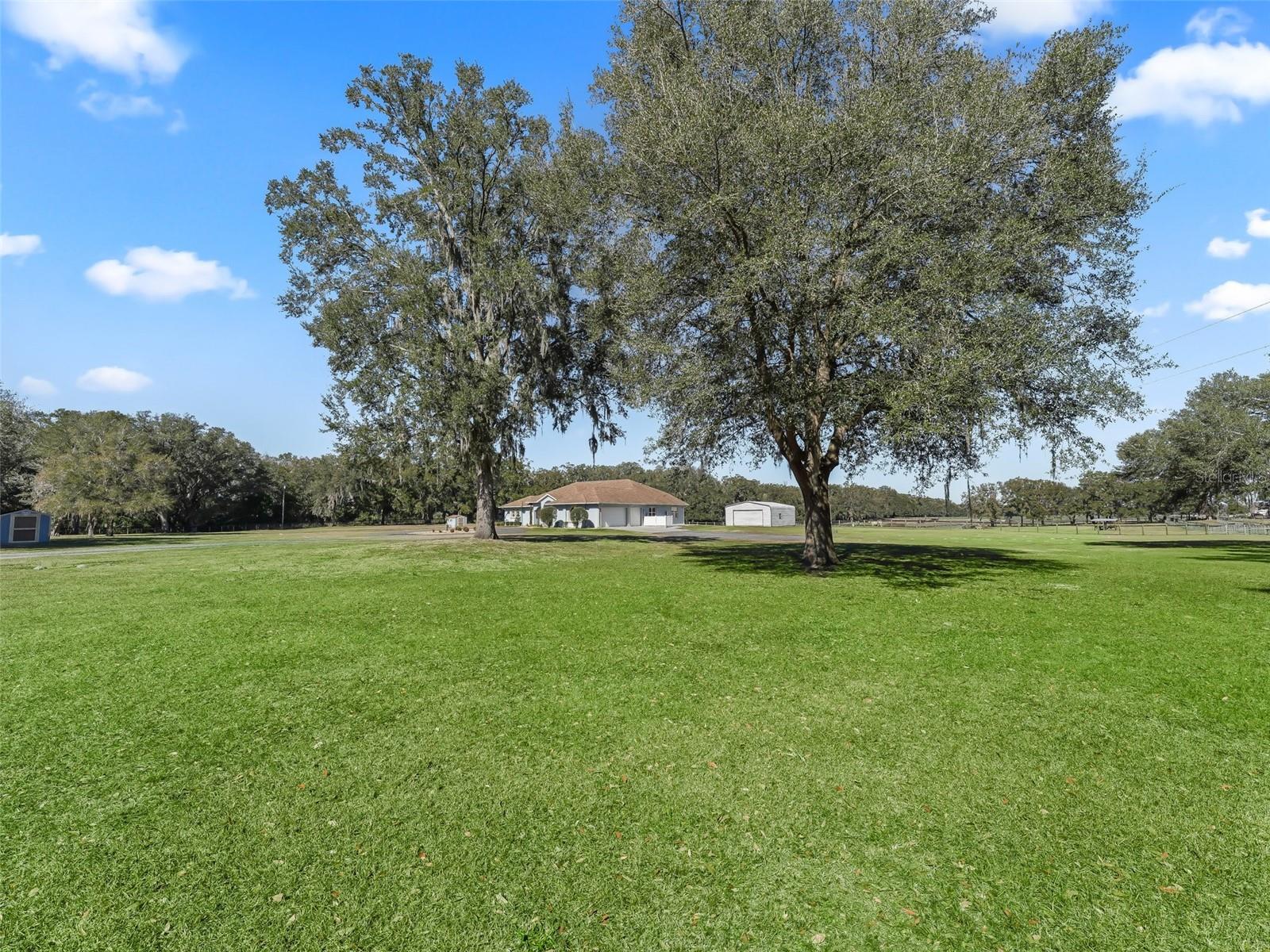 19351 E LEVY ST, WILLISTON, FL, 32696