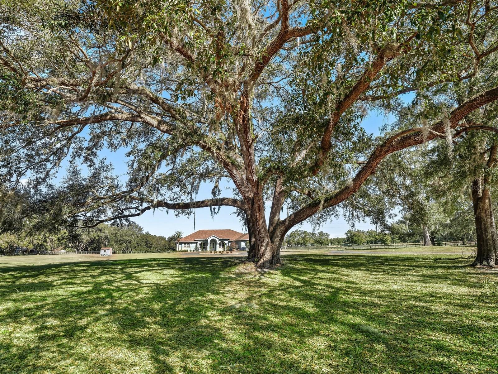 19351 E LEVY ST, WILLISTON, FL, 32696