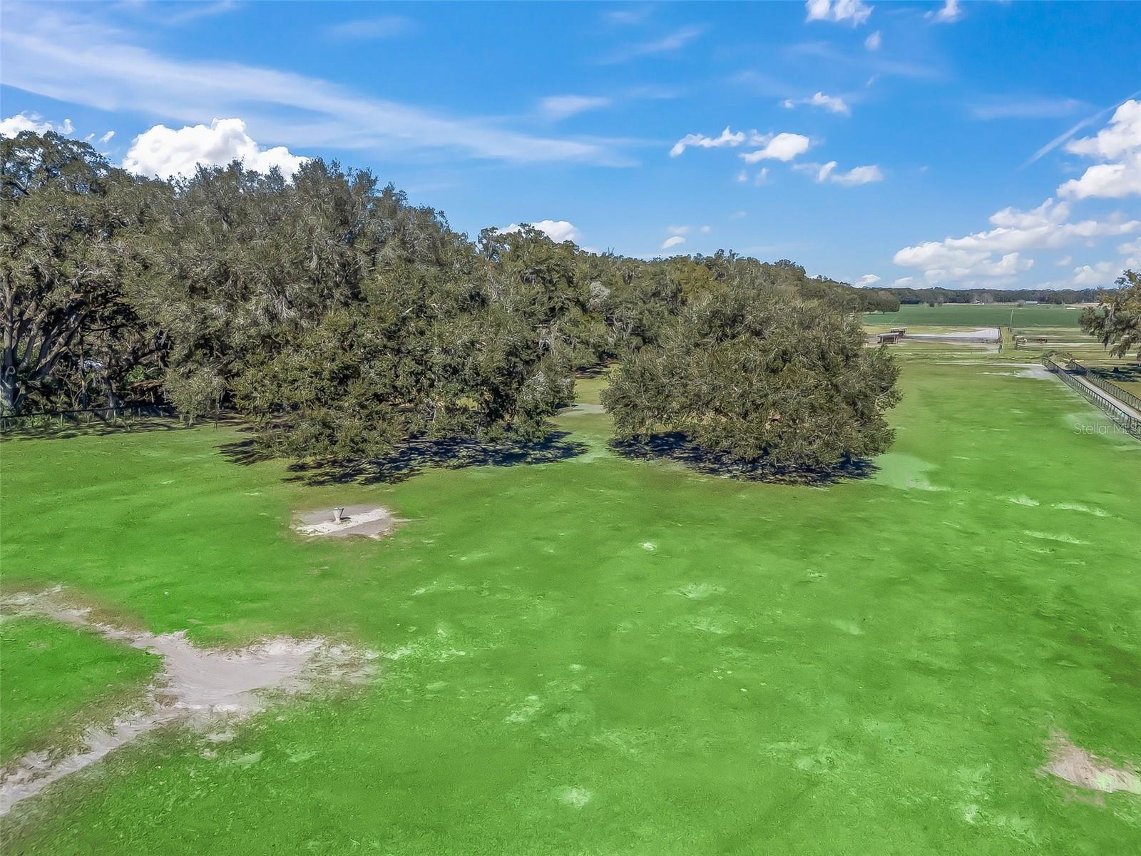 19351 E LEVY ST, WILLISTON, FL, 32696