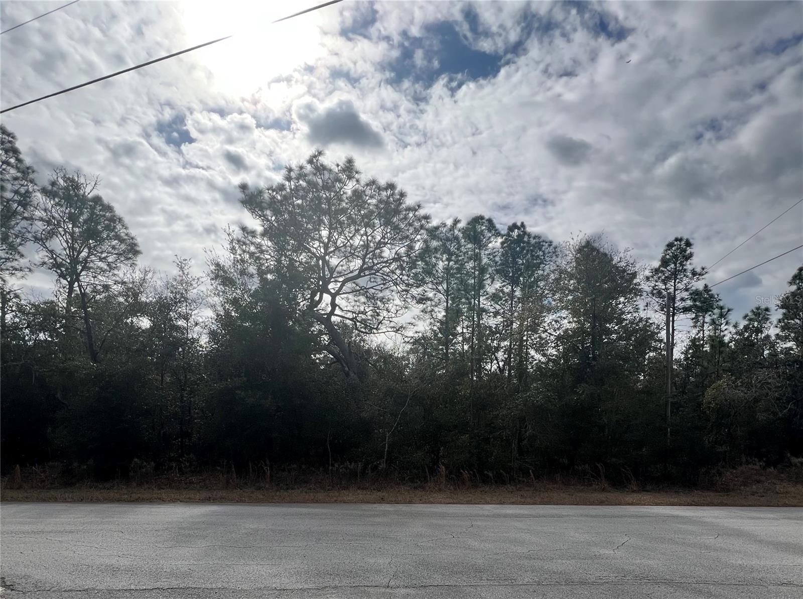 TBD SW TIGER LAKE BLVD, DUNNELLON, FL, 34431