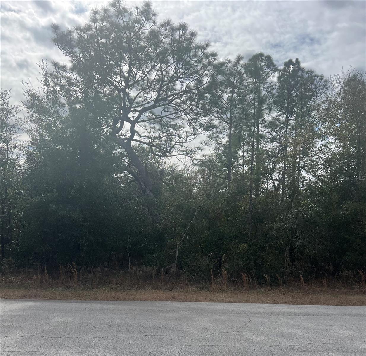 TBD SW TIGER LAKE BLVD, DUNNELLON, FL, 34431