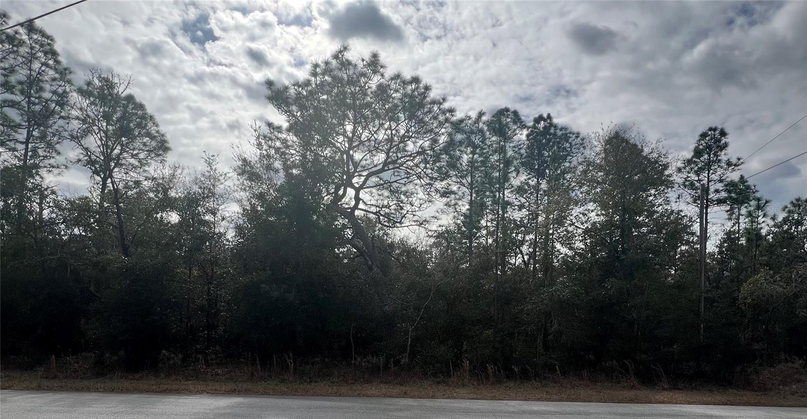 TBD SW TIGER LAKE BLVD, DUNNELLON, FL, 34431
