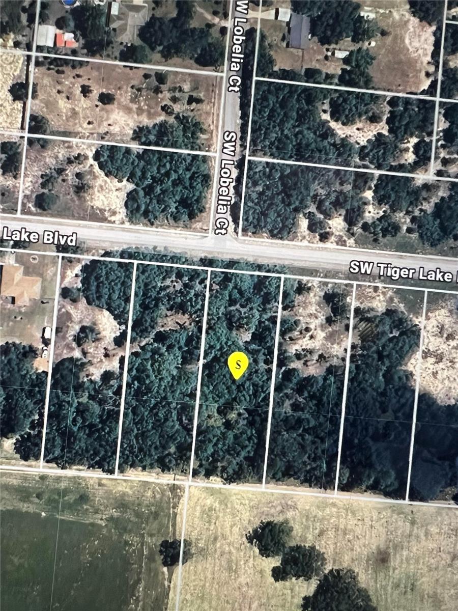 TBD SW TIGER LAKE BLVD, DUNNELLON, FL, 34431