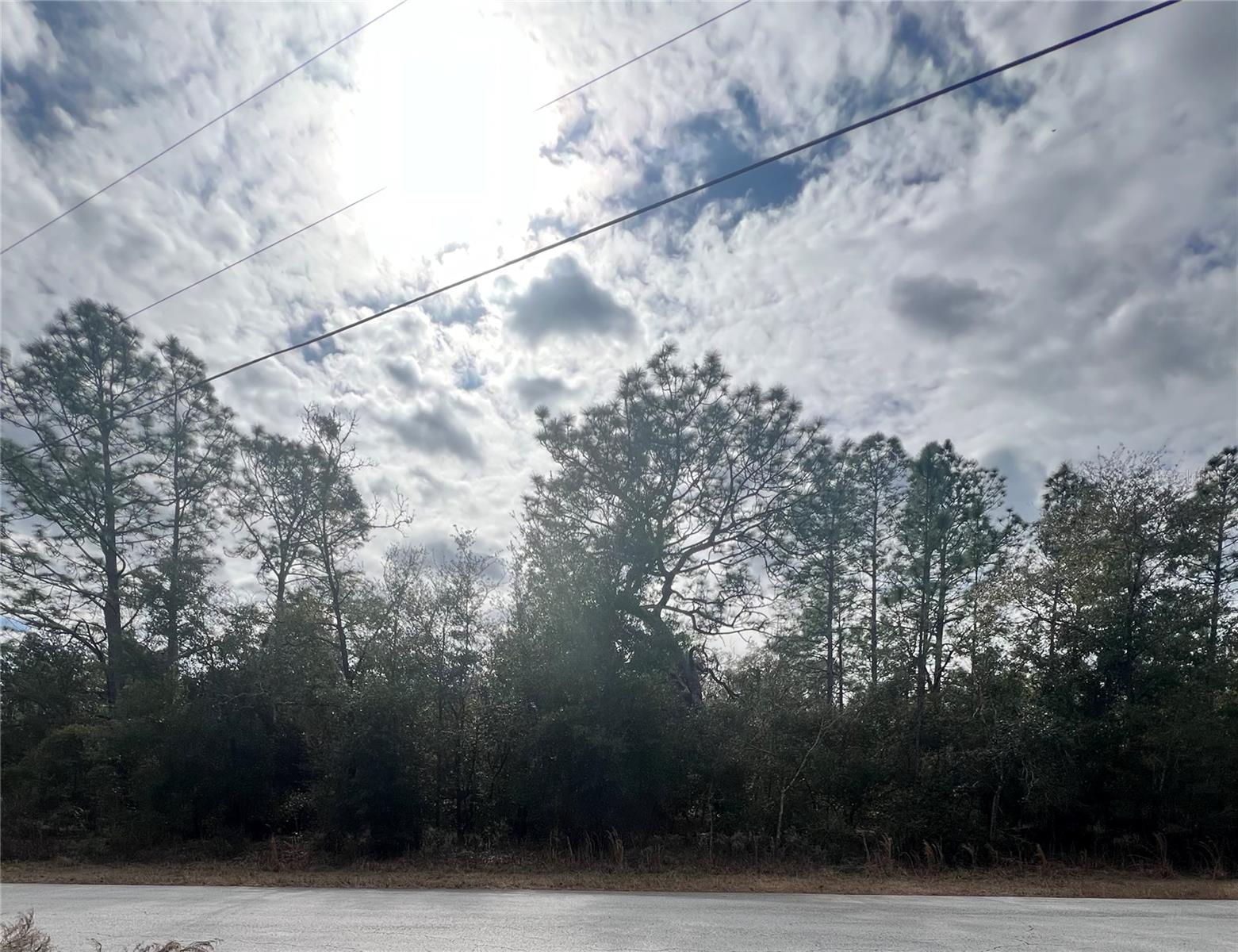 TBD SW TIGER LAKE BLVD, DUNNELLON, FL, 34431