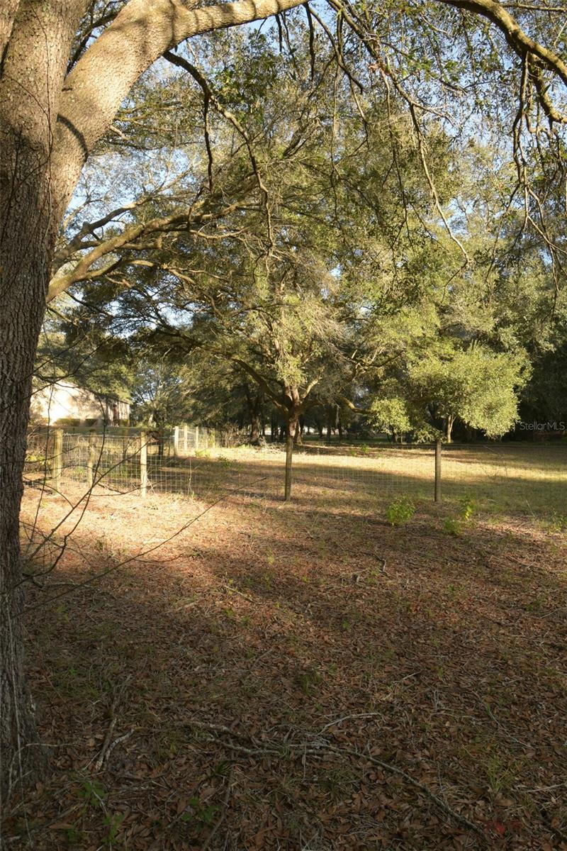 6290 NE 150TH AVE, WILLISTON, FL, 32696