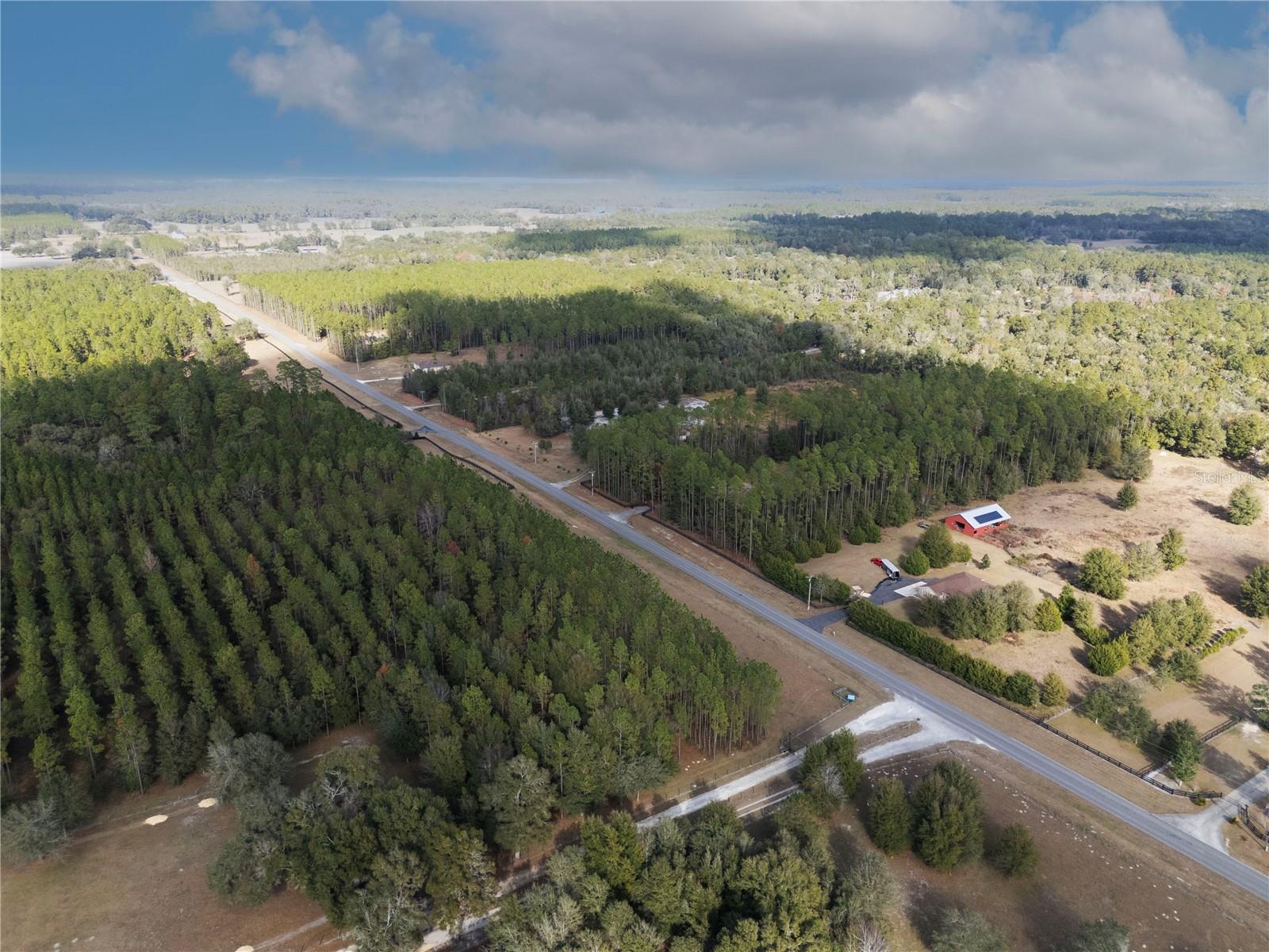 6290 NE 150TH AVE, WILLISTON, FL, 32696