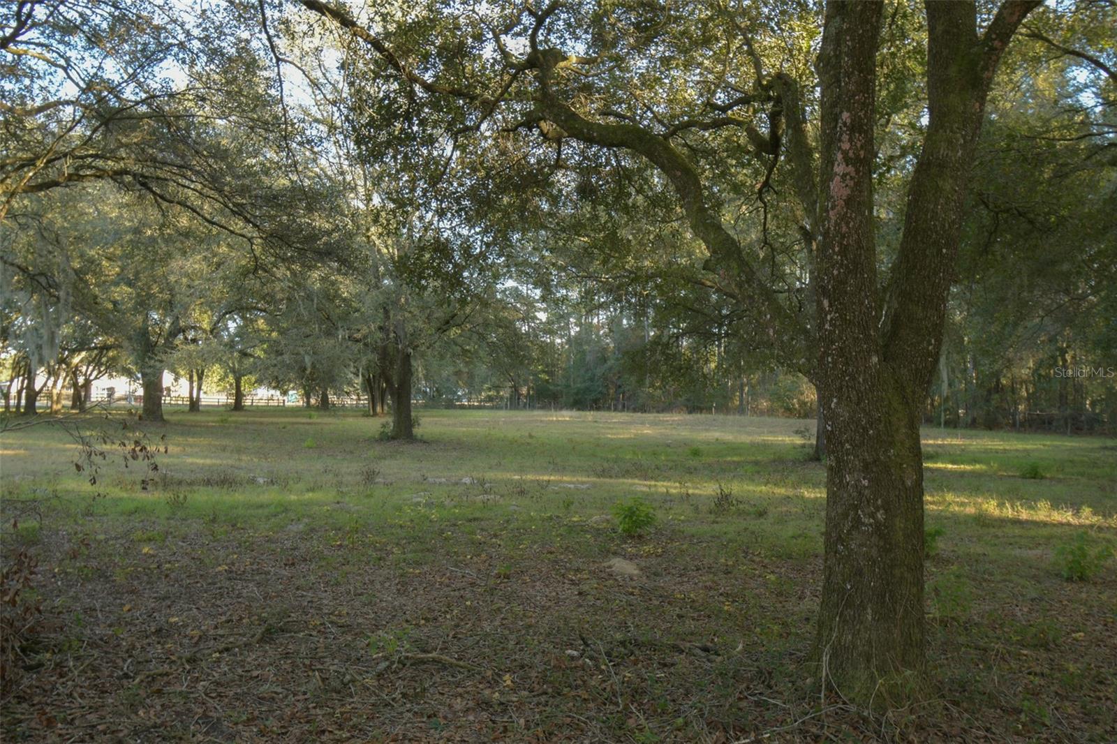 6290 NE 150TH AVE, WILLISTON, FL, 32696